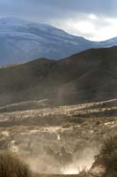 /Oreana/Fandango/2008/gallery/fourSeasons/thumbnails/Dusty Trail I DH-6159.jpg
